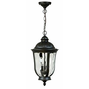 Craftmade Frances 18" Outdoor Hanging Light in Oiled Bronze Outdoor