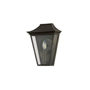 Tehama 1-Light Outdoor Wall Sconce in French Iron