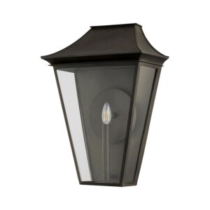 Tehama 1-Light Outdoor Wall Sconce in French Iron