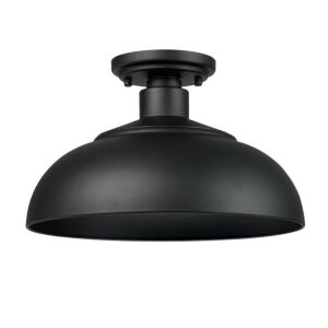 Levitt 1-Light Outdoor Semi-Flush Mount in Natural Black