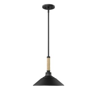 Journey 1-Light Pendant in Natural Black