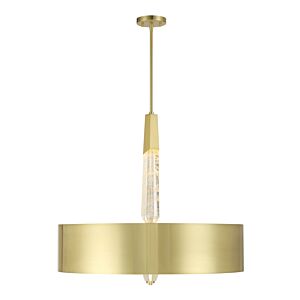 Drifting Droplets 1-Light Pendant in Brushed Brass