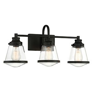 Mannsdale 3-Light Bathroom Vanity Light in Coal