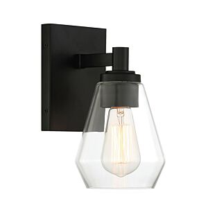 Clarity 1-Light Bathroom Vanity Light in Coal