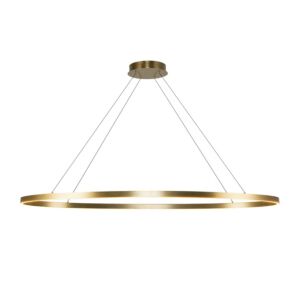 Ovale LED Linear Pendant in Brushed Gold