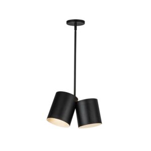 Keiko 2-Light Pendant in Black