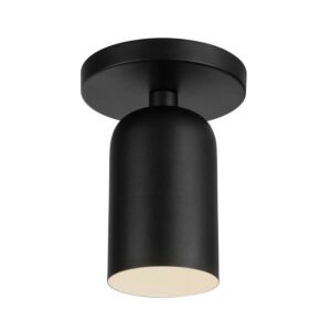 Nola 1-Light Semi-Flush Mount in Black