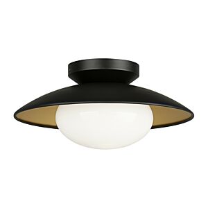 Hatley 1-Light Ceiling Mount in Black