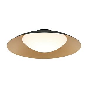 LED Ceiling Mount by Matteo Lighting