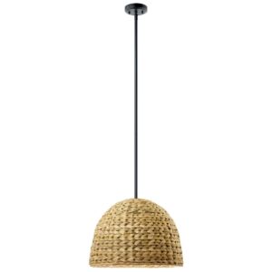 Raffiana 1-Light Mini Pendant in Black