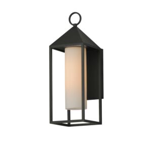 Aldous 1-Light Outdoor Wall Sconce in Black