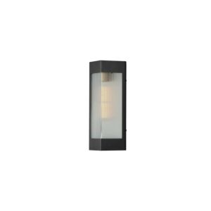 Triform 1-Light Outdoor Wall Sconce in Black with Antique Brass