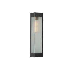 Triform 1-Light Outdoor Wall Sconce in Black with Antique Brass