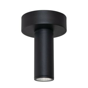 Beverly LED Outdoor Ceiling Mount in Black