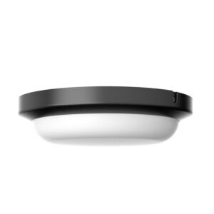 Dean LED Outdoor Flush Mount in Black