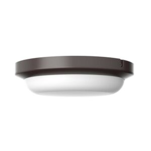 Dean LED Outdoor Flush Mount in Bronze