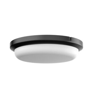 Dean LED Outdoor Flush Mount in Black