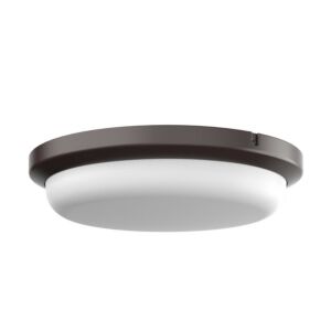 Dean LED Outdoor Flush Mount in Bronze