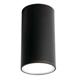 Everly LED Outdoor Ceiling Mount in Black