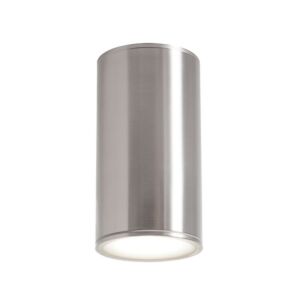 Everly LED Outdoor Ceiling Mount in Satin Nickel