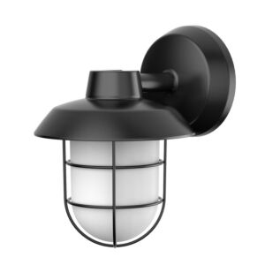 Odell LED Outdoor Wall Sconce in Black