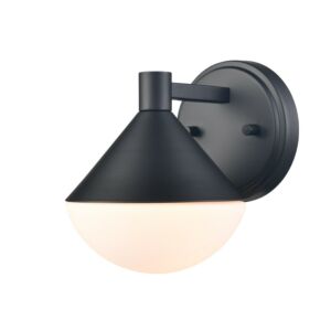 Agawa Outdoor 1-Light Outdoor Wall Sconce in Black
