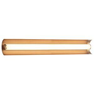 Norvan 1-Light LED Wall Sconce in Aged Gold Brass