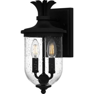 Havana 2-Light Outdoor Wall Mount in Earth Black