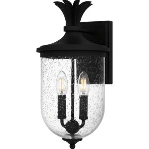 Havana 2-Light Outdoor Wall Mount in Earth Black