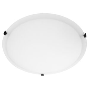 Satin Ceiling Mounts 4-Light Ceiling Mount in Matte Black