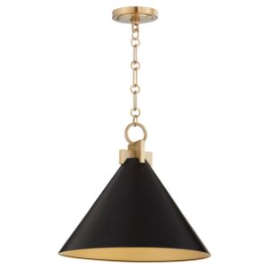 Jackson 1-Light Pendant in Matte Black w with Aged Brass