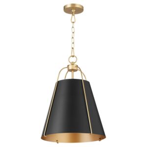 Jamie 1-Light Pendant in Matte Black w with Aged Brass