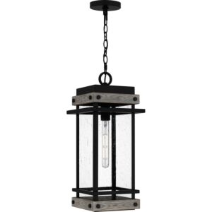 Strader 1-Light Outdoor Hanging Lantern in Matte Black