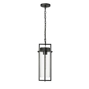 Russell 1-Light Outdoor Hanging Lantern in Powder Coated Black