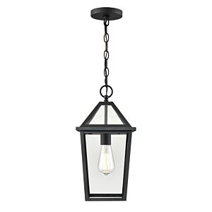 Eston 1-Light Outdoor Hanging Lantern in Textured Black