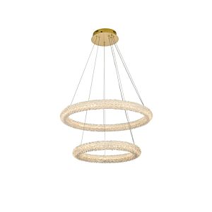 Bowen 2-Light LED Chandelier in Satin Gold