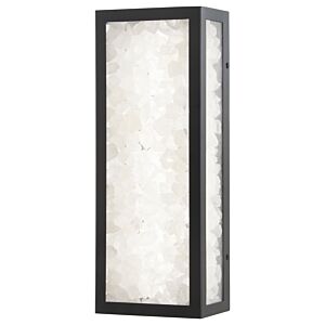 Salt Creek 1-Light LED Outdoor Wall Sconce in Coal