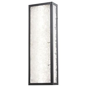 Salt Creek 1-Light LED Outdoor Wall Sconce in Coal