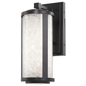 Salt Creek 1-Light LED Outdoor Wall Sconce in Coal