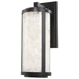 Salt Creek 1-Light LED Outdoor Wall Sconce in Coal