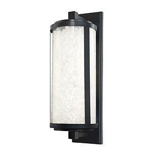 Salt Creek 1-Light LED Outdoor Wall Sconce in Coal