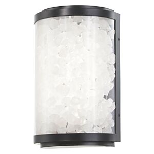 Salt Creek 1-Light LED Outdoor Wall Sconce in Coal