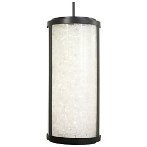 Salt Creek 1-Light LED Outdoor Pendant in Coal