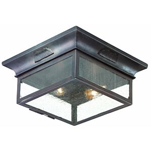 Two Light Flush Mount by Troy Lighting