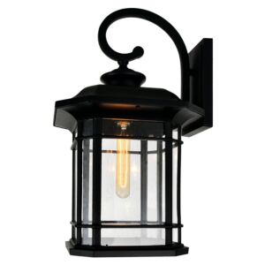 Blackburn 1-Light Outdoor Wall Lantern in Black