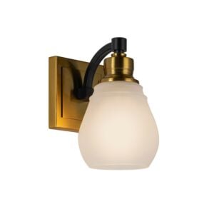 Nelson 1-Light Bathroom Vanity Lightroom Sconce in Brass & Black