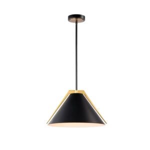 Baltic 1-Light Pendant in Black and Brushed Brass