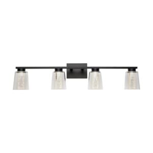 Dalton 4-Light LED Bathroom Vanity Lightroom Vanity in Black