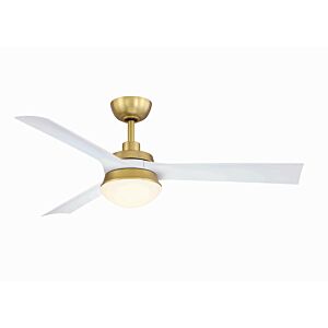 52"Ceiling Fan by Fanimation