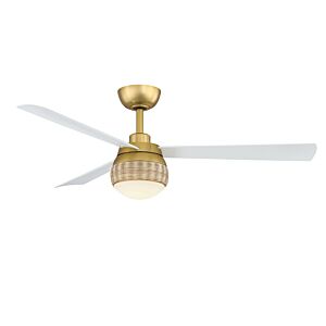 52"Ceiling Fan by Fanimation